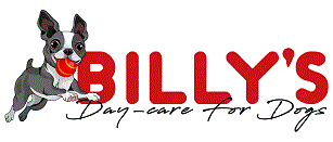 Billy's Day-Care For Dogs